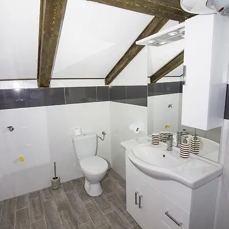 Apartment Apartmani Miletic *